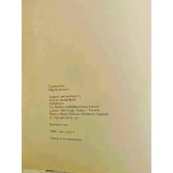 Decorative Cacti Guide to Succulent House Plants Hardcover 1973 - Picture 4 of 9